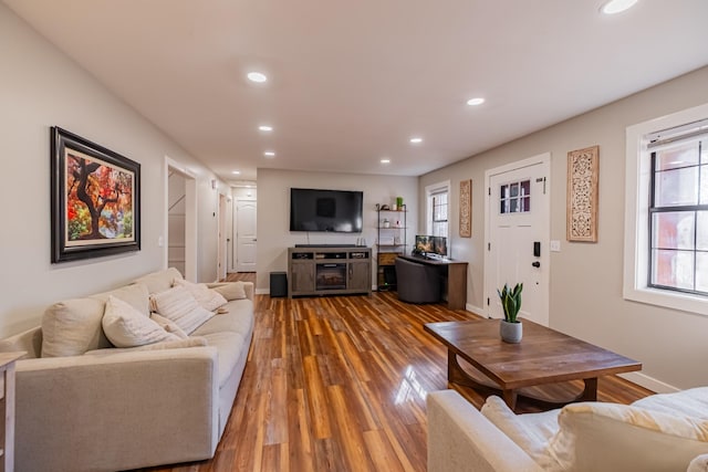 living room featuring wood-type flooring