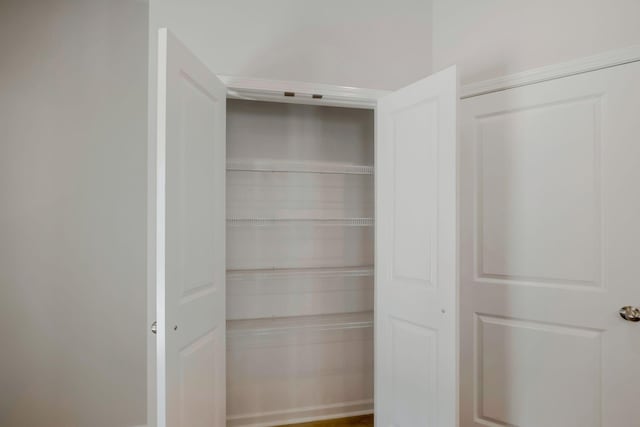 view of closet