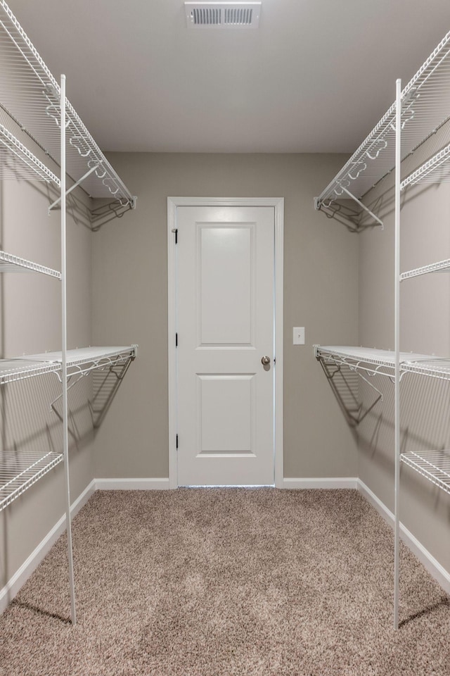 walk in closet with carpet flooring