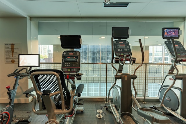 exercise room featuring a wealth of natural light