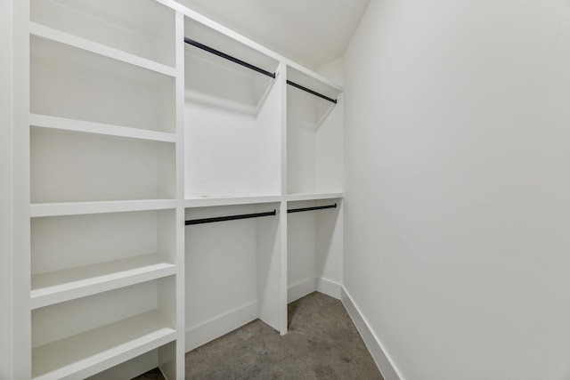 walk in closet with carpet