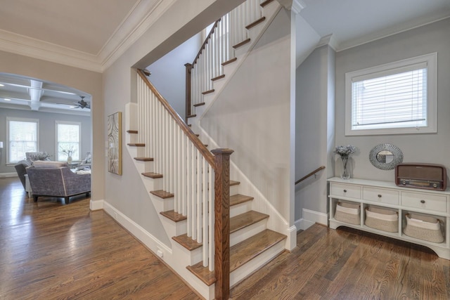 stairs featuring hardwood / wood-style flooring, ceiling fan, ornamental molding, and coffered ceiling