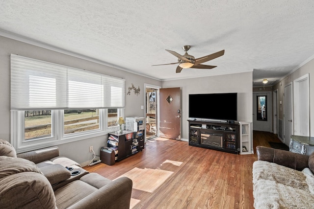 living room featuring ornamental molding, a ceiling fan, a textured ceiling, wood finished floors, and baseboards