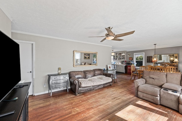 living room featuring wood-type flooring, ornamental molding, and a textured ceiling