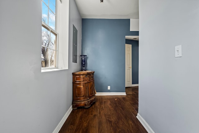 corridor with electric panel and dark hardwood / wood-style floors