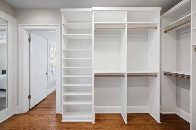 spacious closet with hardwood / wood-style floors