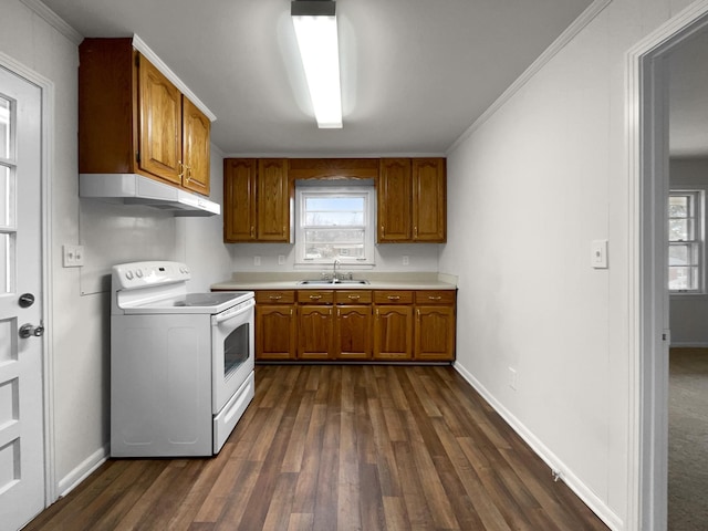 kitchen featuring dark wood-type flooring, sink, ornamental molding, and white electric stove