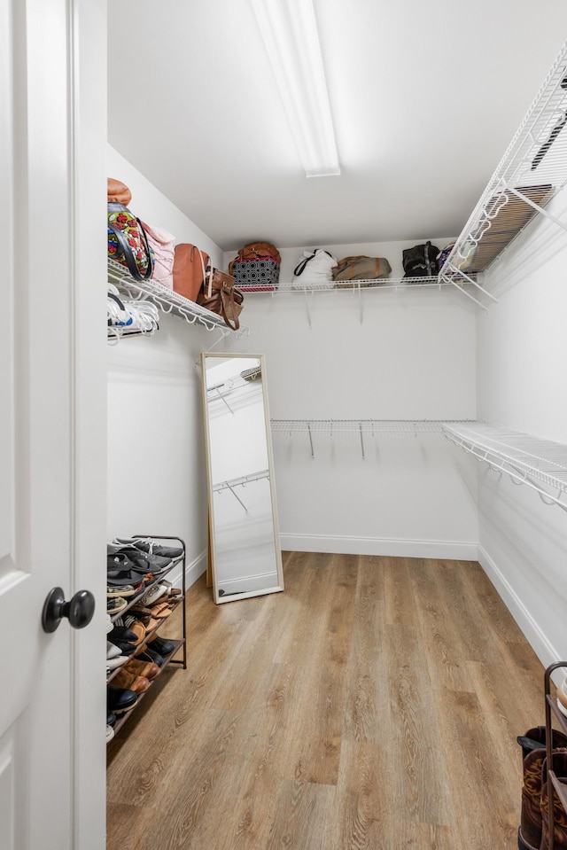 spacious closet with light wood-type flooring