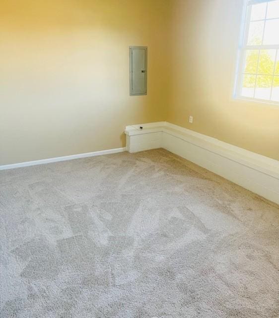 unfurnished room with electric panel and carpet