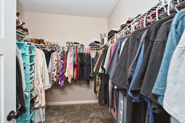 spacious closet with dark colored carpet