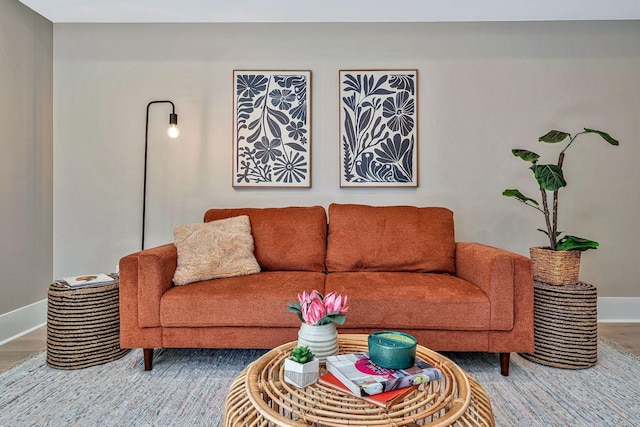 living room with hardwood / wood-style flooring