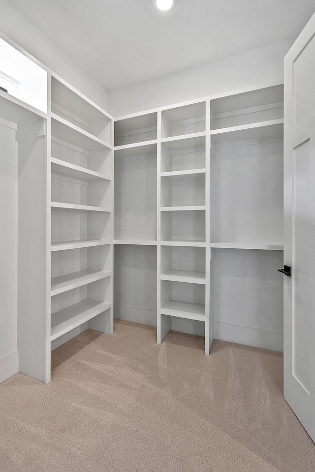 spacious closet featuring light colored carpet