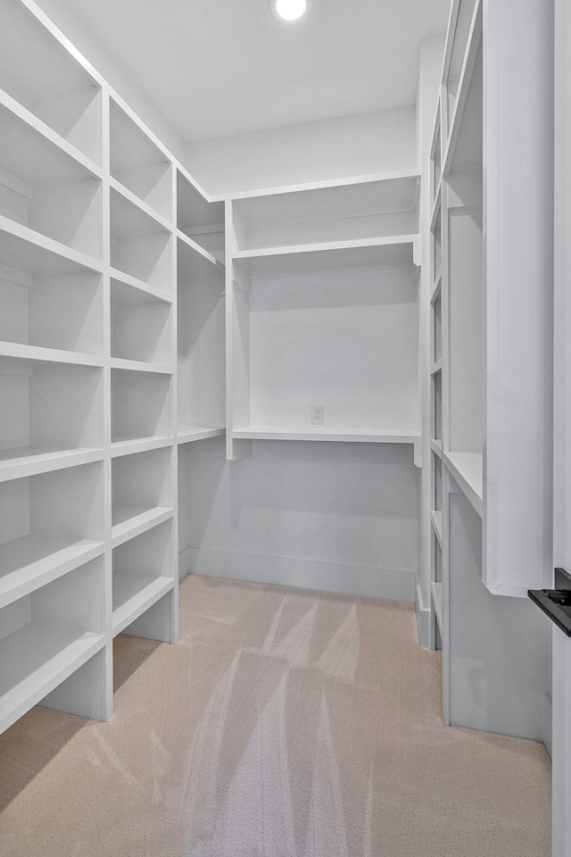 walk in closet with light colored carpet