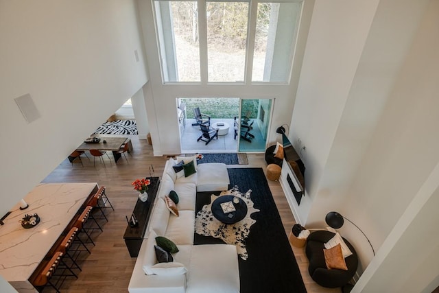 living room featuring light hardwood / wood-style flooring and a high ceiling