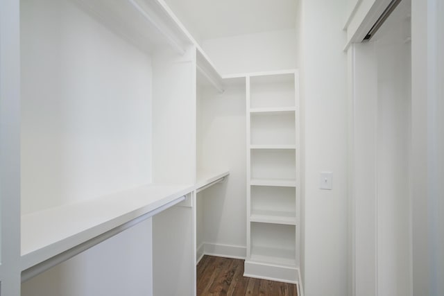 walk in closet with dark hardwood / wood-style flooring