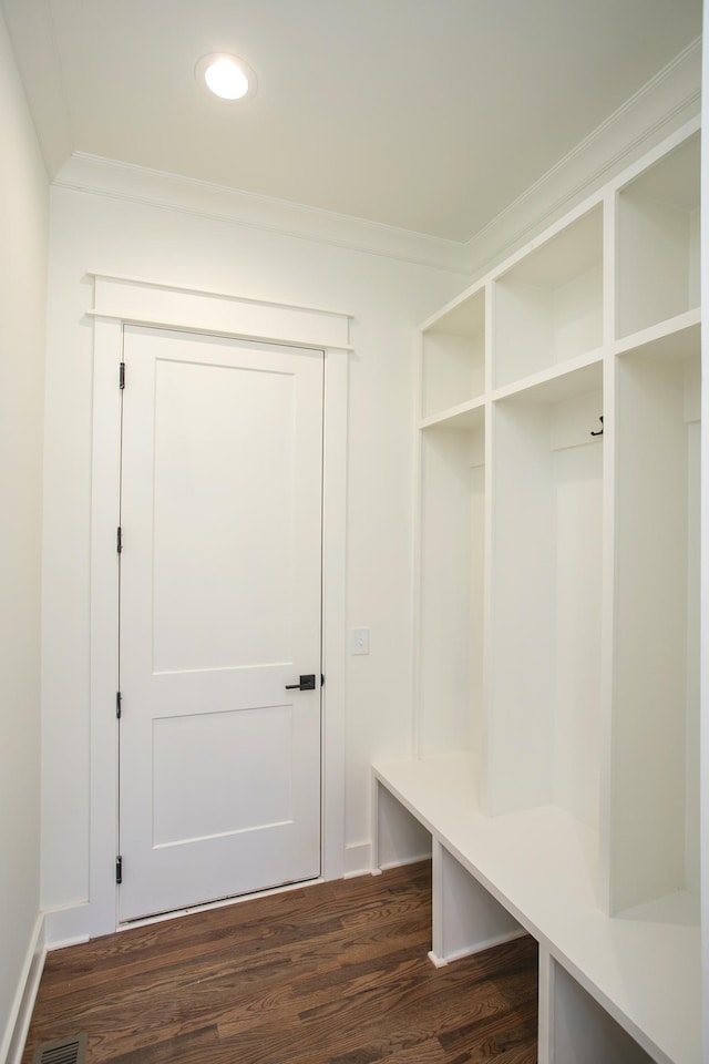 mudroom featuring ornamental molding and dark hardwood / wood-style flooring