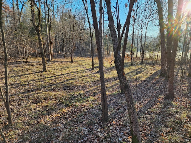 Listing photo 2 for 0 Tinin Rd, Clifton TN 38425