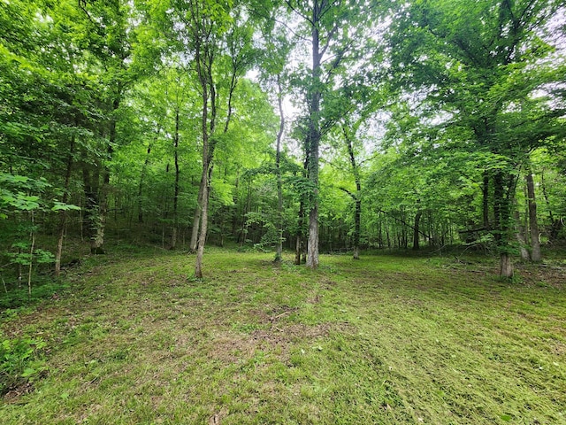 0 Tinin Rd, Clifton, TN 38425