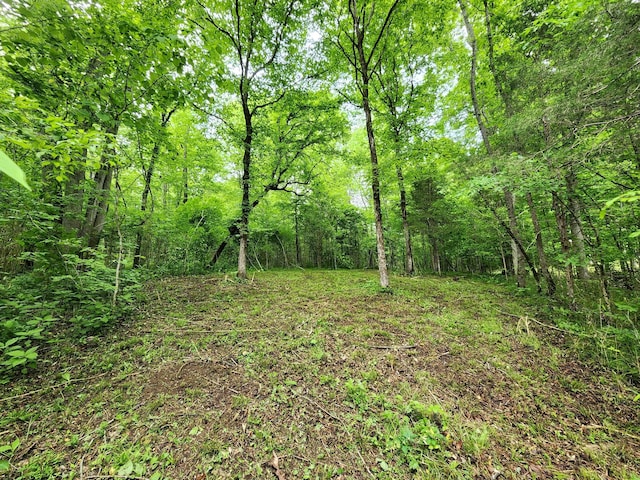 0 Tinin Rd, Clifton, TN 38425