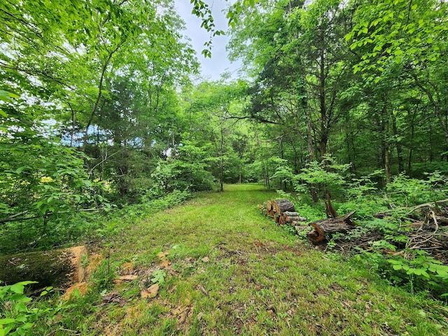 0 Tinin Rd, Clifton, TN 38425