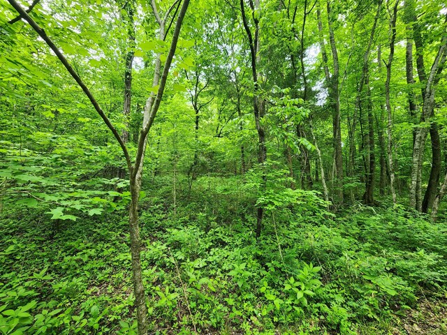 0 Tinin Rd, Clifton, TN 38425