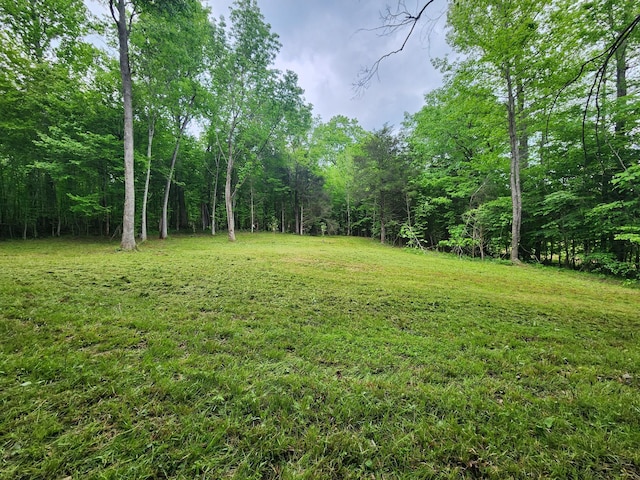 0 Tinin Rd, Clifton, TN 38425