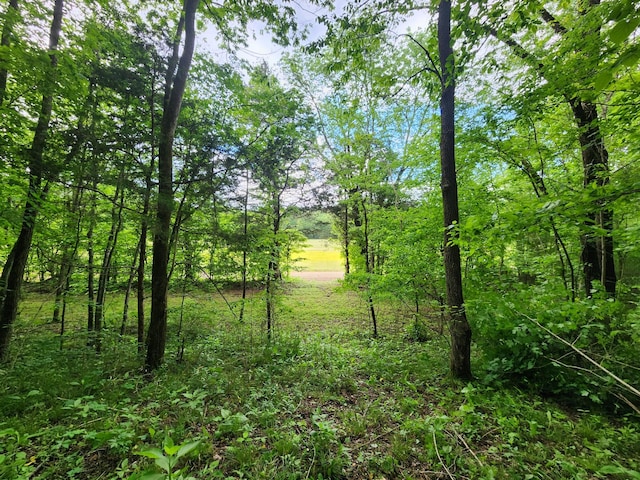 0 Tinin Rd, Clifton, TN 38425