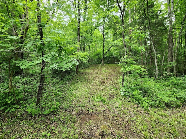 0 Tinin Rd, Clifton, TN 38425