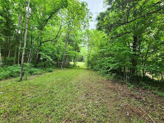 0 Tinin Rd, Clifton, TN 38425