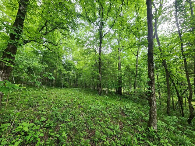 0 Tinin Rd, Clifton, TN 38425