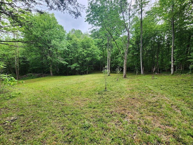 0 Tinin Rd, Clifton, TN 38425