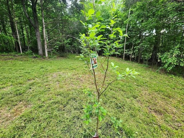 0 Tinin Rd, Clifton, TN 38425