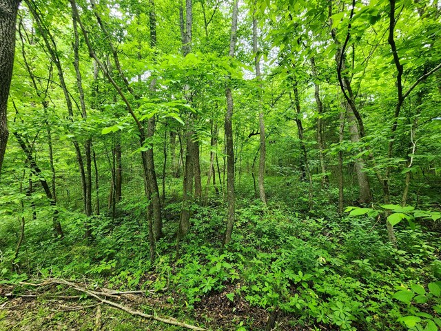 0 Tinin Rd, Clifton, TN 38425