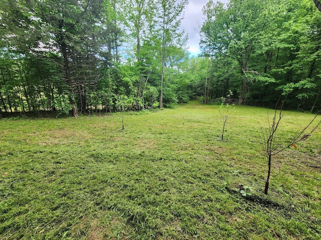 0 Tinin Rd, Clifton, TN 38425