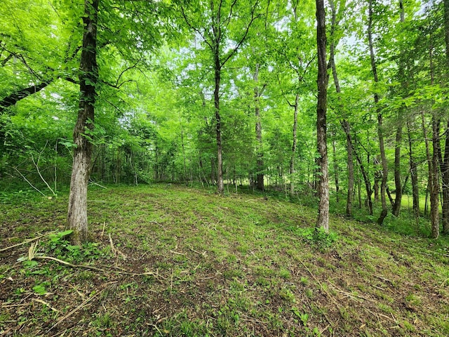 0 Tinin Rd, Clifton, TN 38425