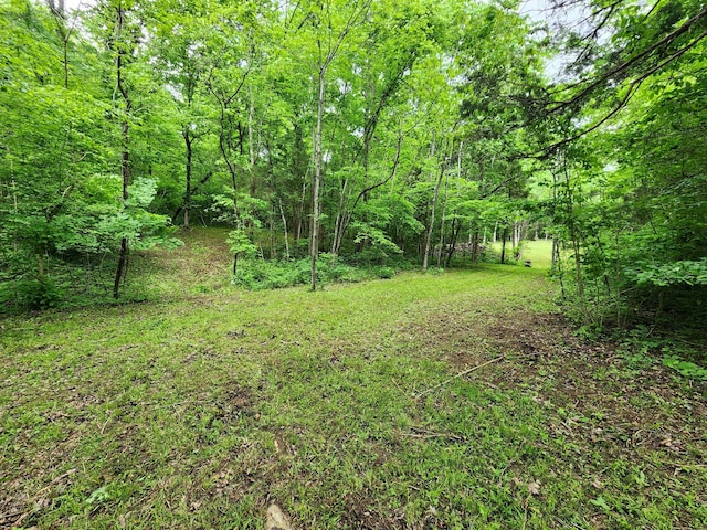 0 Tinin Rd, Clifton, TN 38425