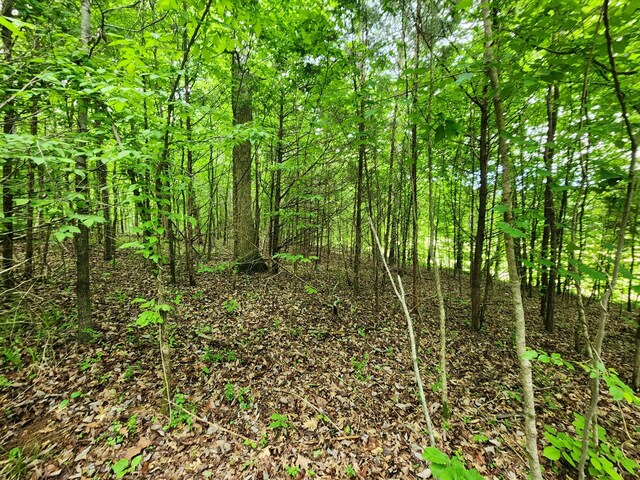 0 Tinin Rd, Clifton, TN 38425