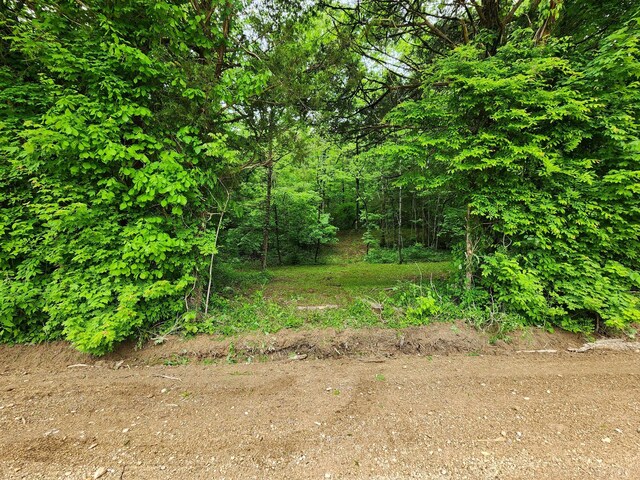0 Tinin Rd, Clifton, TN 38425