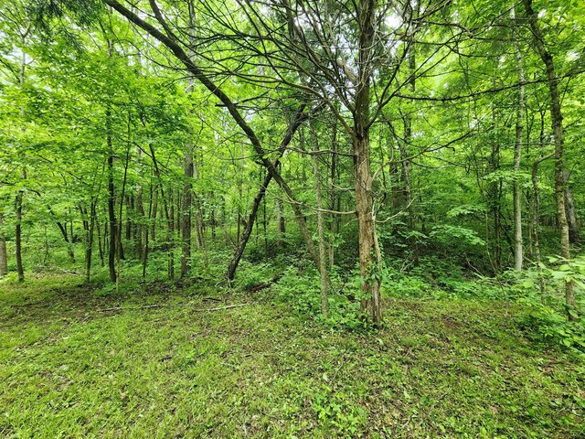 0 Tinin Rd, Clifton, TN 38425
