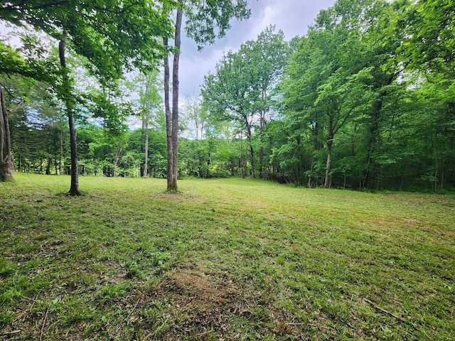 0 Tinin Rd, Clifton, TN 38425