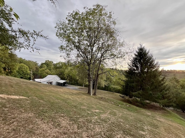 view of yard at dusk