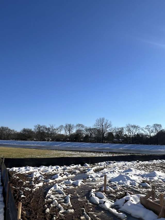 view of yard layered in snow