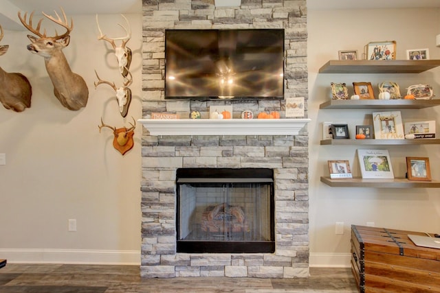 room details featuring a fireplace and hardwood / wood-style floors