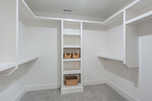 walk in closet with carpet flooring