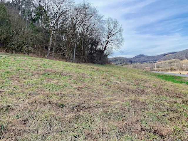 Listing photo 2 for 4 Oakley Rd, Liberty TN 37095