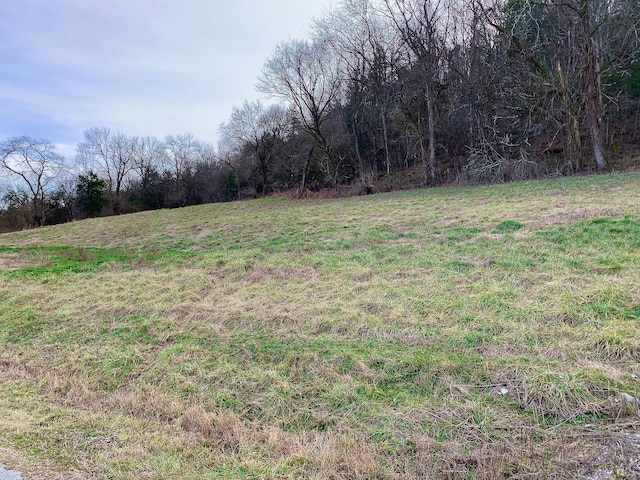 4 Oakley Rd, Liberty TN, 37095 land for sale