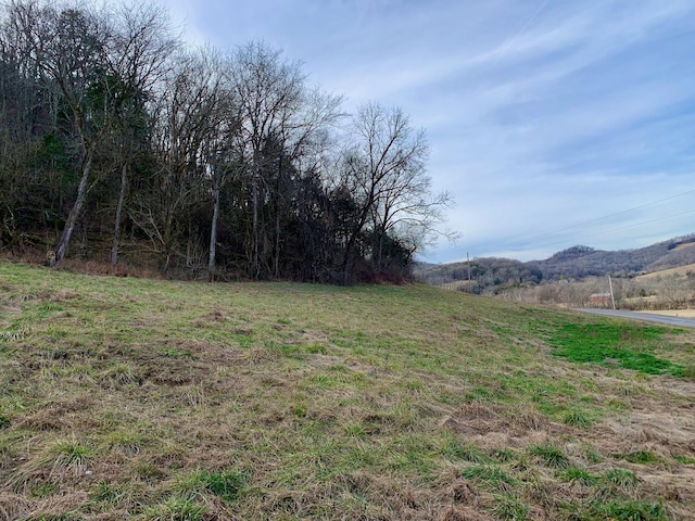 Listing photo 3 for 4 Oakley Rd, Liberty TN 37095