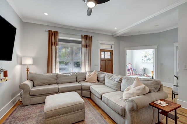 living room featuring ceiling fan, ornamental molding, and hardwood / wood-style flooring