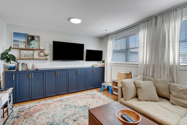 living room with a healthy amount of sunlight and light wood-type flooring