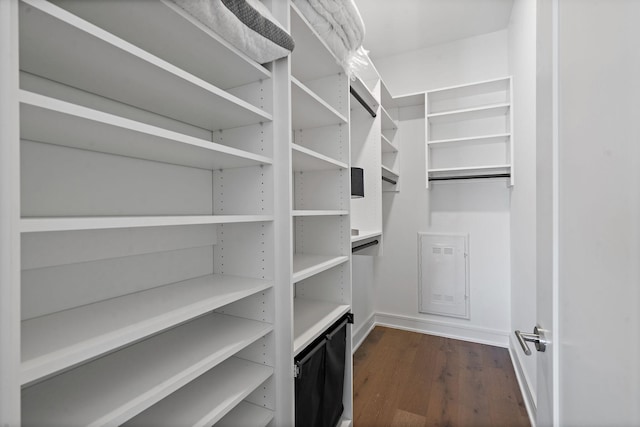 spacious closet with dark hardwood / wood-style floors